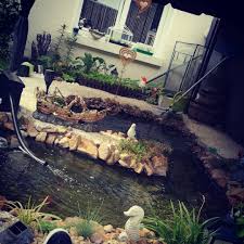 Gartenbau Gartendeko Urlaubzuhause Pflanzenwelt Gartenbau Garten Deko Garten