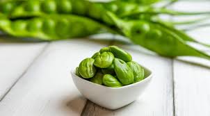 We did not find results for: Tips Menghilangkan Bau Petai Saat Diolah Dan Dimakan Lifestyle Fimela Com