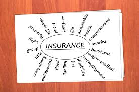 The insurance company (insurer) and the individual (insured). Kinds Of Insurance In Business Studies Types Of Insurance