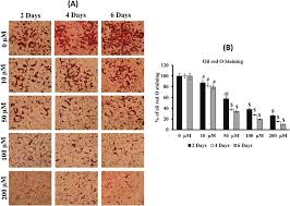 Photomicrographs And A Graph Showing The Effects Of