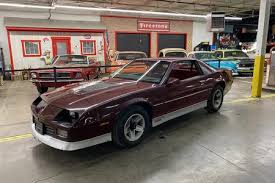 Image result for Maroon 1988 UMM