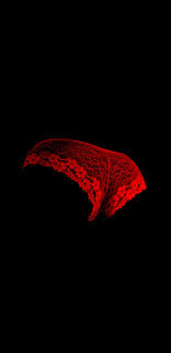 Pin On Mobile Wallpapers