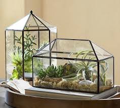 Glass Terrarium Glass Terrarium Terrarium Diy Terrarium