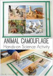 Animal Camouflage Hands On Science Activity Stir The Wonder Camouflage Activities Adaptations Activities Animal Adaptations Activities