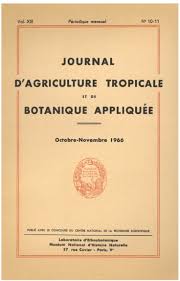 Image result for Strephonema sericeum