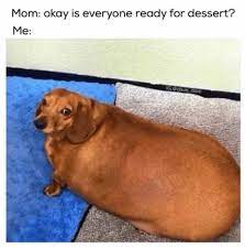 Check spelling or type a new query. Pin On Funny