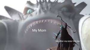 We did not find results for: I Present The Superior How To Train Your Dragon Meme Dankmemes