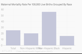 maternal mortality rate per 100 000 live births grouped by race