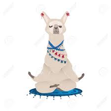 Cute Hand Drawn Llama Or Alpaca Sitting In Relaxing Yoga Pose Alpaca Drawing Relaxing Yoga Poses How To Draw Hands
