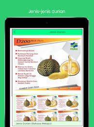 Dagingnya berwarna kuning dengan tekstur lembut dan tebal. Durian 1 0 Download Android Apk Aptoide
