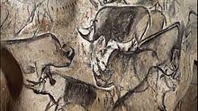 Find beautiful gothic drawing images, sketch, pencil and colorful drawing photos drawn by professional artists. Cave Painting Wikipedia
