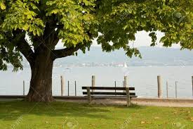 Bayerische bodenseebank raiffeisen eg in lindau. Bank Unter Einem Kastanienbaum Am Ufer Des Beruhmten Bodensee Lizenzfreie Fotos Bilder Und Stock Fotografie Image 27412308