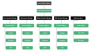 Plant Protection Non Profit Organizational Chart