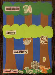 Pin By A Goss On Let S Get Ready For Kindergarten Rainforest Classroom Rainforest Crafts Rainforest Theme