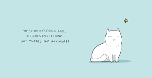 Can cats sense your feelings? When My Cat Feels Sad Bored Panda