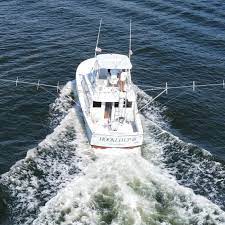 We did not find results for: Hooked Up Sportfishing Captain Taco Home Facebook