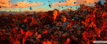 хоббит 3 пустошь смауга смотреть онлайн бесплатно в хорошем качестве Hobbit 2 Pustosh Smauga 2013 V Hd 720 Kachestve Smotret Onlajn