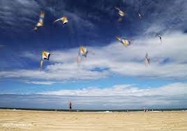 Sky Painting Kite Gif Wordlesstech Sky Painting Painting Kite Gif