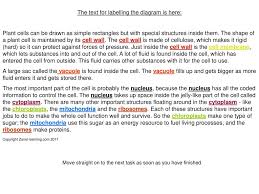 Learn vocabulary, terms and more with flashcards, games and other study tools. The Plant Cell Key Stage Ppt Download