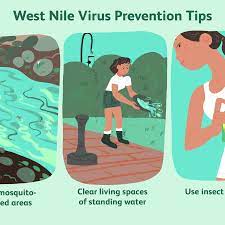 West nil virus fälle zw 2009 und 2018 15.03. West Nile Virus Overview And More