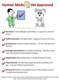 Create A Dog First Aid Kit Meds For Dogs Dog Care Pets