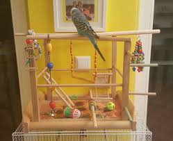 We've been wanting to create a stand for our 2 parrots for a long time and were finally able to create this project! My Homemade Budgie Playground Budgies Bird Care Pet Care