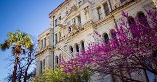 Maybe you would like to learn more about one of these? 27 Terrific Flowering Trees For Texas Yards Progardentips