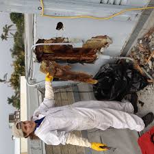 Pest control san diego has been servicing the entire san diego area a long time. Adios Pest Control