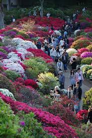 Pin On Beautiful Gardens And Landscaping