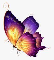 Editing Butterfly Png Download Butterfly Png For Editing Transparent Png Transparent Png Image Pngitem Please, do not forget to link to butterfly png | free butterflies png clipart images page for attribution! editing butterfly png download