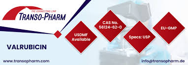 Image result for Valrubicin