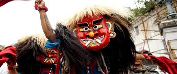 Image result for gai jatra