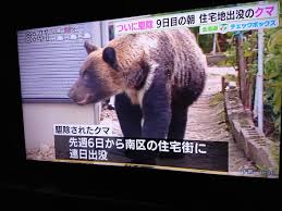 (～市) sapporo (the capital and largest city of hokkaido prefecture, japan). Treadmill Runner æœ­å¹Œä½å®…è¡—å‡ºæ²¡ã®ã‚¯ãƒžé§†é™¤ 8 14 Powered By Line