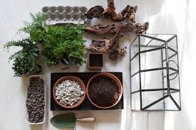 (but not usually people like terrarium man!) Making A Woodland Terrarium For The Home Homestead Brooklyn