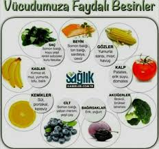Faydalibilgiler Zerdacal Sarimsak Avokado Saglik Elma Sac Beyin Kalp Goz Limon Sogan Domates Havuc Incir Uzum Ceviz Cilt Yesilcay