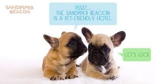 Pin On Pet Friendly Hotels
