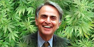 Image result for carl sagan