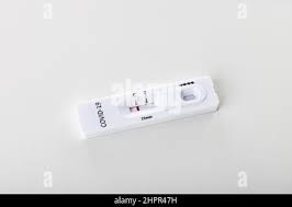 Negative Covid 19 Antigen Test Kit One Step Coronavirus Antigen Rapid Test Saliva Swab 1 Test Box With Imagine Of Lungs Close Up Stock Photo Alamy
