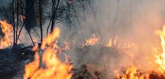 La importante tarea de los peritos de incendios. Una Mirada Desde La Ciencia A Los Incendios De Valparaiso Noticias Uai