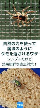 ボード 生活の知恵 のピン