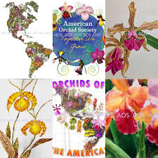 As a certified nursery, orchid alley kauai ships live orchid plants and blooming. American Orchid Society Photos Facebook