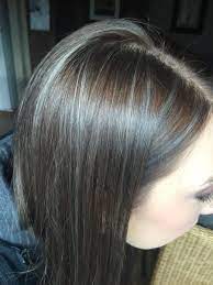 I Used Aveda Black Malva To Tone Down The Red In My Dyed Brown Hair My Hig Gray Hair Highlights Brown Hair With Silver Highlights Gray Highlights Brown Hair