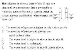 Unit 2 Review Ppt Video Online Download