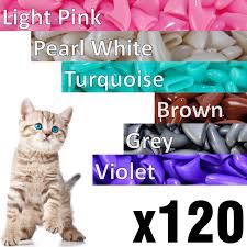 120 Pcs Soft Cat Claw Caps For Cats Nail Claws 6x Colors 6x Adhesive Glue 6x Applicator Pet Cap Tips Cover Paws Grooming Soft Covers