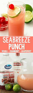 Sea Breeze Cocktail Punch Crazy For Crust Recette Recettes De Boissons Boissons Aux Fruits Punch Alcoolise