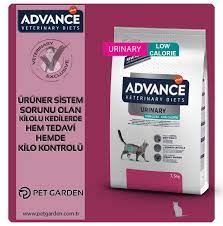 advance affinity nin ustun kaliteli kedi ve kopek mamasi grubudur veteriner tarafindan formule ve tavsiye edilen adva veterinerler golden retriever saglikli
