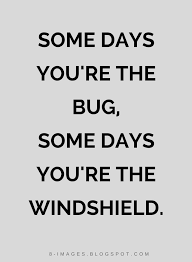 Some Days You Re The Bug Some Days You Re The Windshield Quotes Quotes Disrespect Quotes Thoughts Quotes Quotes