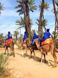 In touch with you on what's app and make sure they camel ride in marrakech, morocco book the most popular camel riding tours in marrakech. Activities From Marrakech Activities And Things To Do In Marrakech