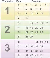 Tabla de equivalencia entre semanas y meses de embarazo. Pin En Embarazada Y Feliz