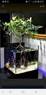 Pin By Dian Bastari On Dekorasi Rumah Elegan In 2020 Aquarium Aquarium Design Indoor Water Garden